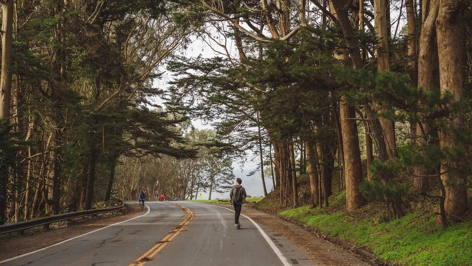 A man rides an electric scooter down a tree-lined road in San Francisco.
